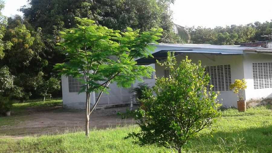 Inmueble en Chicoral Chicoral
